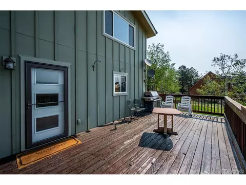 297 Homestead Rd, Bailey, CO 80421 photo 25
