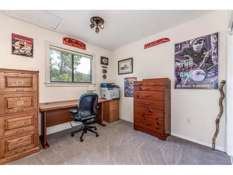 297 Homestead Rd, Bailey, CO 80421 photo 20