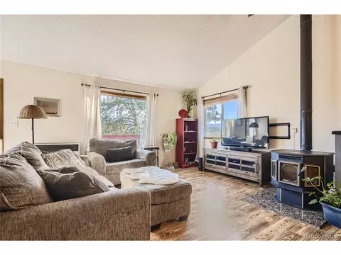 215 Juniper Ln, Bailey, CO 80421 photo 5