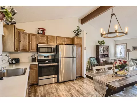 215 Juniper Ln, Bailey, CO 80421 photo 9