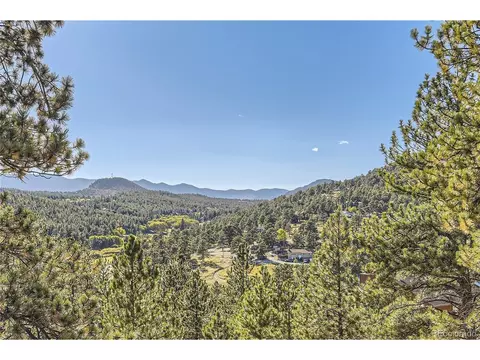 215 Juniper Ln, Bailey, CO 80421 photo 24
