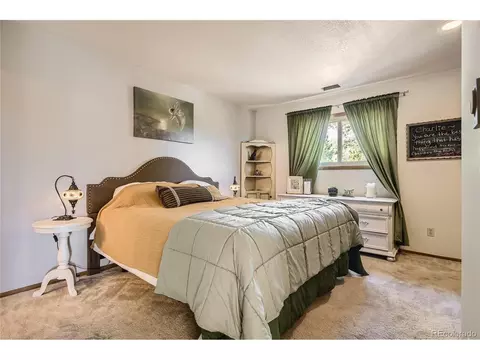 215 Juniper Ln, Bailey, CO 80421 photo 11