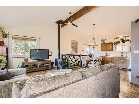 215 Juniper Ln, Bailey, CO 80421 photo 4