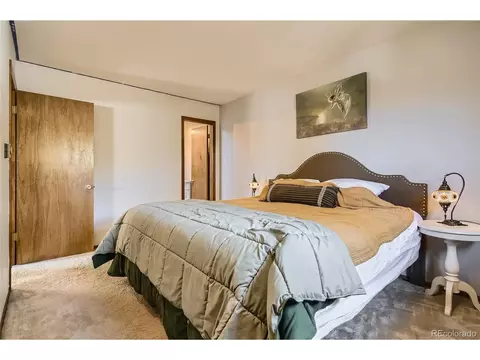 215 Juniper Ln, Bailey, CO 80421 photo 12