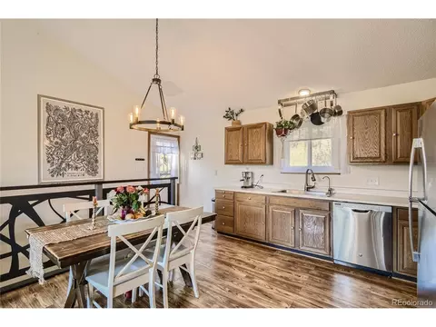 215 Juniper Ln, Bailey, CO 80421 photo 7