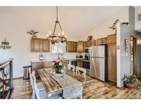 215 Juniper Ln, Bailey, CO 80421 photo 8