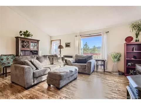 215 Juniper Ln, Bailey, CO 80421 photo 6