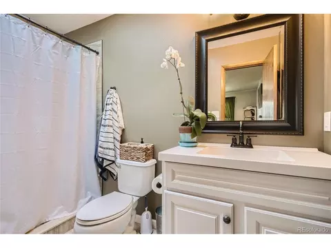 215 Juniper Ln, Bailey, CO 80421 photo 13