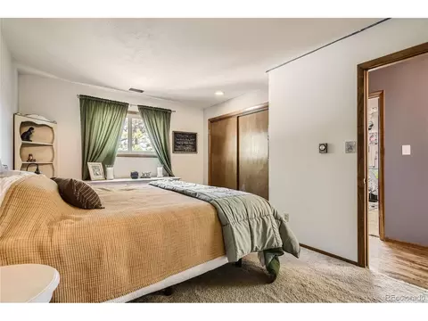 215 Juniper Ln, Bailey, CO 80421 photo 10