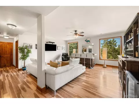 Living - 21 Hummingbird Ct, Bailey, CO 80421 photo 7 of 8