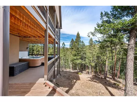 Other - 21 Hummingbird Ct, Bailey, CO 80421 photo 6 of 9