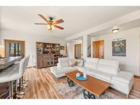 Living - 21 Hummingbird Ct, Bailey, CO 80421 photo 8 of 8