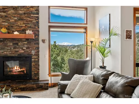 Living - 21 Hummingbird Ct, Bailey, CO 80421 photo 3 of 8