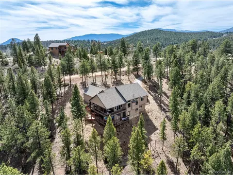 Other - 21 Hummingbird Ct, Bailey, CO 80421 photo 9 of 9