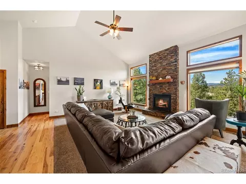 Living - 21 Hummingbird Ct, Bailey, CO 80421 photo 4 of 8