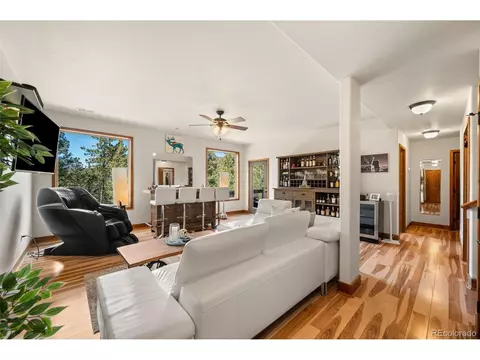 Living - 21 Hummingbird Ct, Bailey, CO 80421 photo 6 of 8