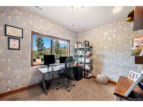 Other - 21 Hummingbird Ct, Bailey, CO 80421 photo 4 of 9