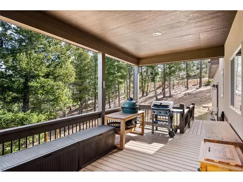 Exterior - 21 Hummingbird Ct, Bailey, CO 80421 photo 6 of 11