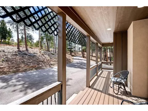 Exterior - 21 Hummingbird Ct, Bailey, CO 80421 photo 3 of 11