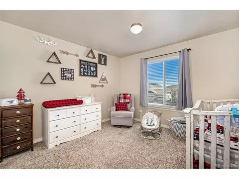 668 Biscayne Ct, Berthoud, CO 80513 photo 33