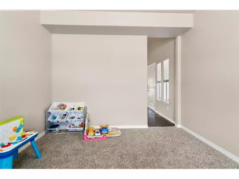 17846 Lapis Ct, Monument, CO 80132 photo 21