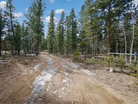 Other - 89 Prospectors Way, Bailey, CO 80421 photo 8 of 8