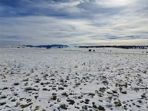 1648 Apache Trl, Hartsel, CO 80449 photo 3