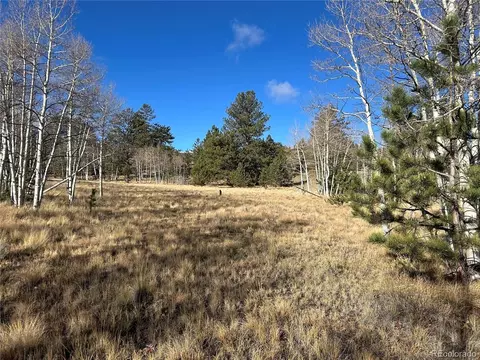 203 Doubletree Ct, Hartsel, CO 80449 photo 4