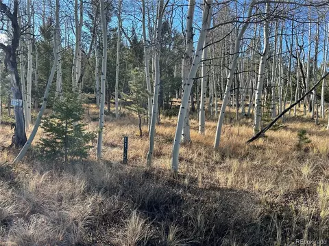 203 Doubletree Ct, Hartsel, CO 80449 photo 7