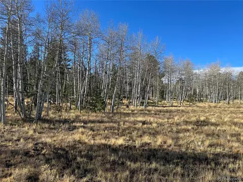 203 Doubletree Ct, Hartsel, CO 80449 photo 13