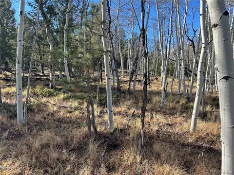 203 Doubletree Ct, Hartsel, CO 80449 photo 3