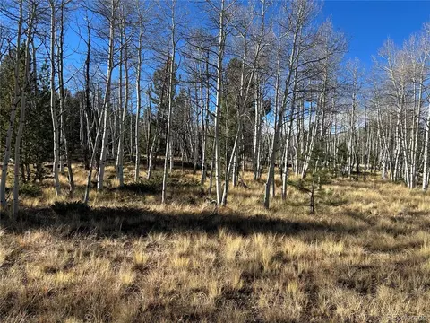 203 Doubletree Ct, Hartsel, CO 80449 photo 11