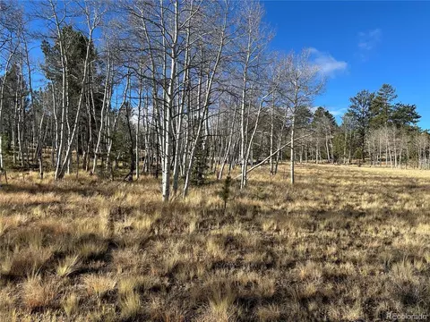 203 Doubletree Ct, Hartsel, CO 80449 photo 2