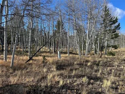 203 Doubletree Ct, Hartsel, CO 80449 photo 5
