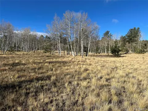 203 Doubletree Ct, Hartsel, CO 80449 photo 12