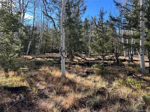 203 Doubletree Ct, Hartsel, CO 80449 photo 8