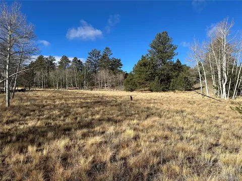 203 Doubletree Ct, Hartsel, CO 80449 photo 9