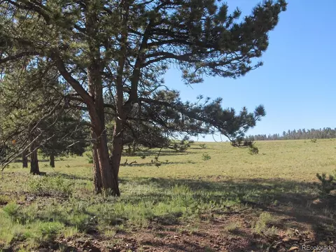 Arikara Trl, Hartsel, CO 80449