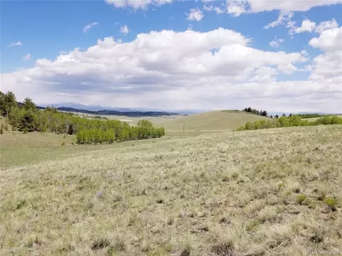 810 Stacker Dr, Hartsel, CO 80449 photo 6
