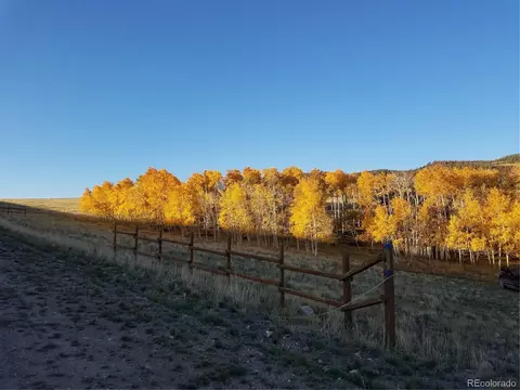 810 Stacker Dr, Hartsel, CO 80449 photo 9