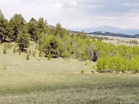 810 Stacker Dr, Hartsel, CO 80449 photo 4