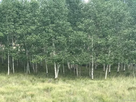 810 Stacker Dr, Hartsel, CO 80449 photo 5