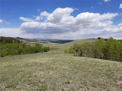 810 Stacker Dr, Hartsel, CO 80449 photo 2
