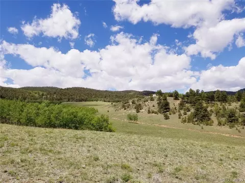 810 Stacker Dr, Hartsel, CO 80449 photo 7