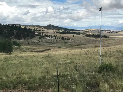 810 Stacker Dr, Hartsel, CO 80449 photo 13