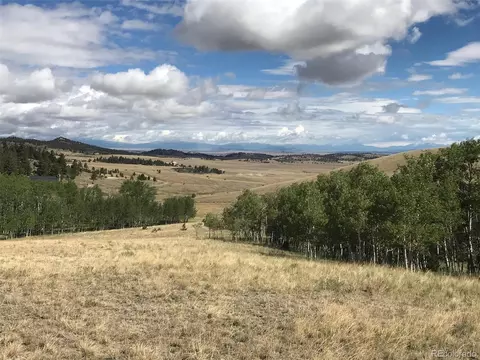 810 Stacker Dr, Hartsel, CO 80449 photo 15
