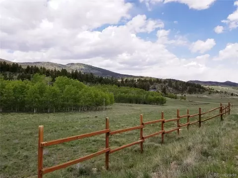 810 Stacker Dr, Hartsel, CO 80449 photo 3