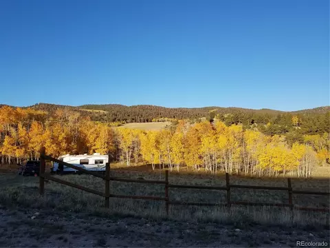 810 Stacker Dr, Hartsel, CO 80449 photo 10