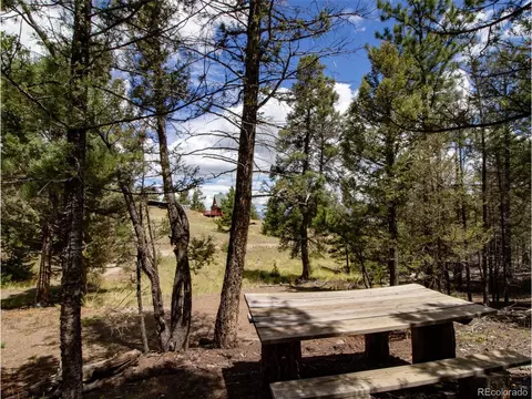 172 Wolfe Rd, Hartsel, CO 80449 photo 20