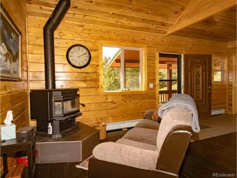 172 Wolfe Rd, Hartsel, CO 80449 photo 30